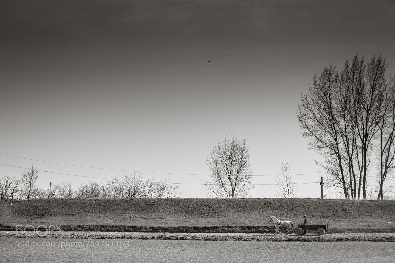 Nikon D3100 sample photo. Countryside photography