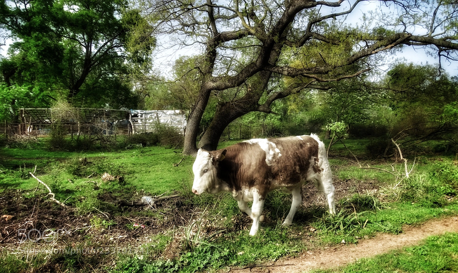 Sony Cyber-shot DSC-HX400V sample photo. Tosun photography
