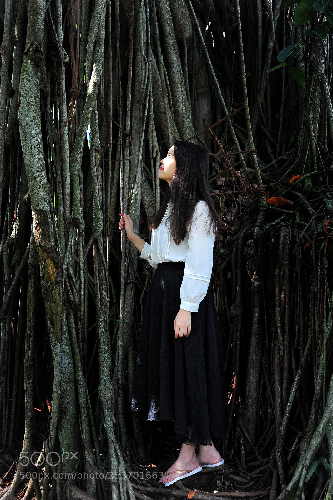 Nikon D700 sample photo. Sunny photography