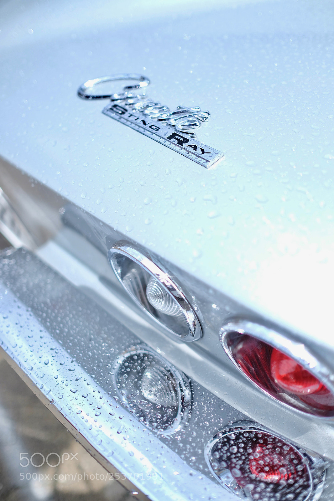 Fujifilm X-E2 sample photo. Silver star photography