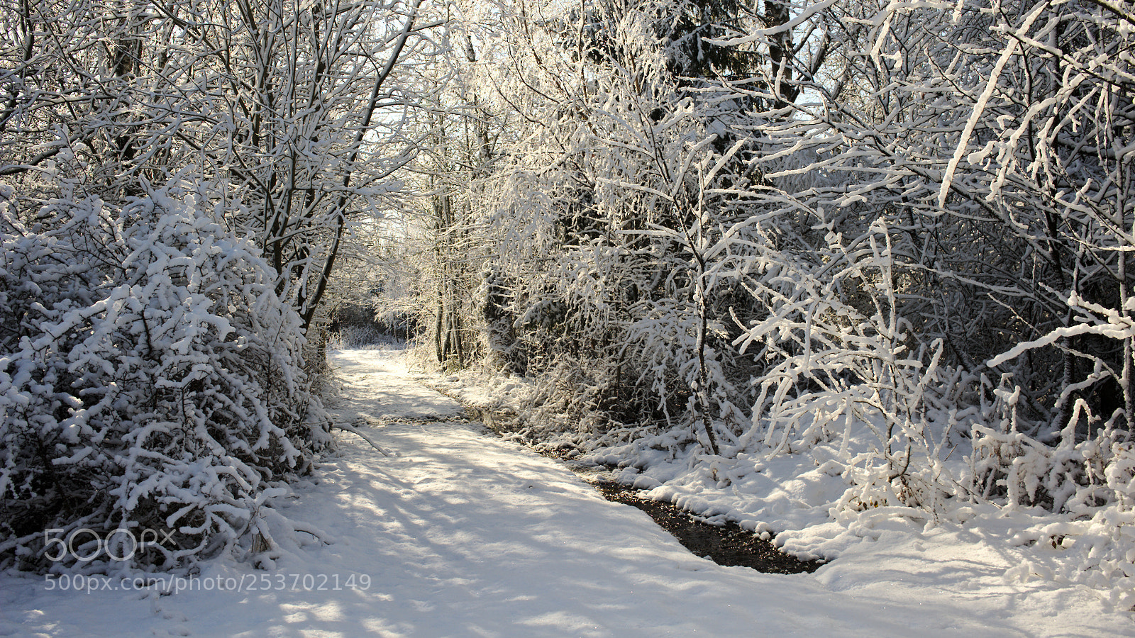Nikon D700 sample photo. More snow photography