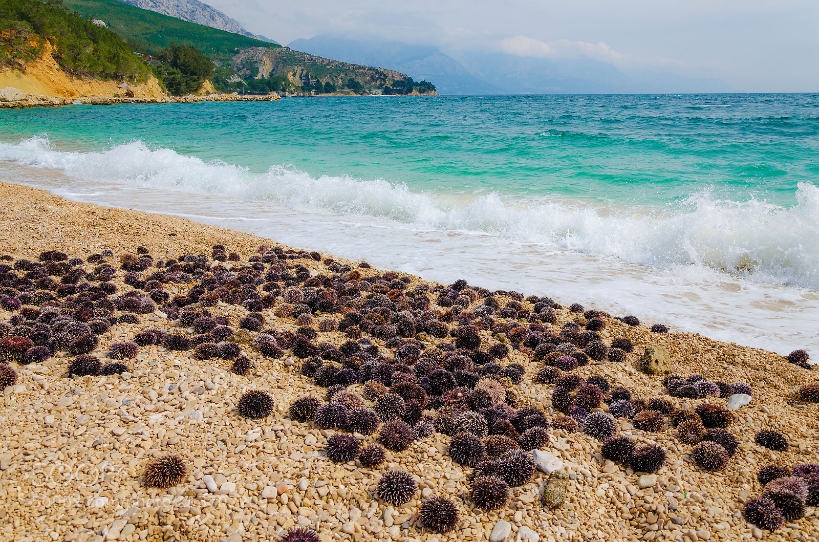 Nikon D5100 sample photo. Invasion of the sea photography