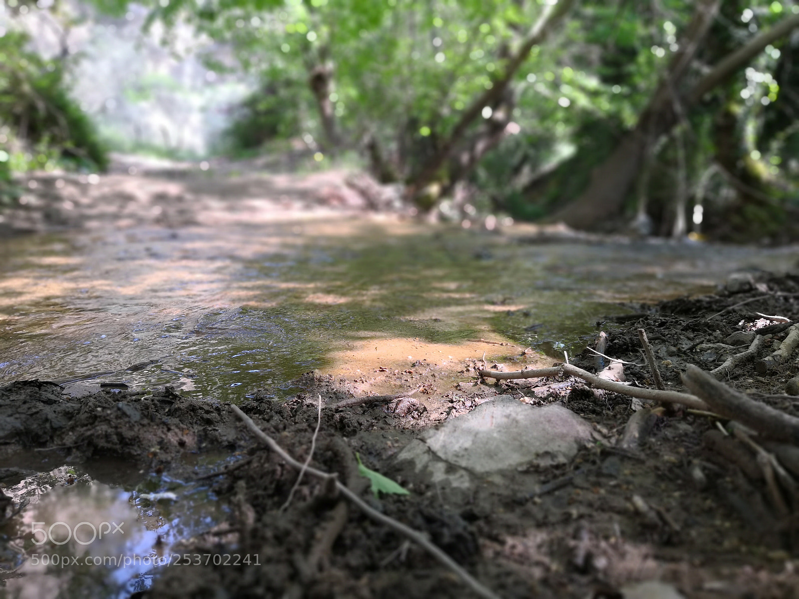 HUAWEI Mate 10 Pro sample photo. Untitled photography