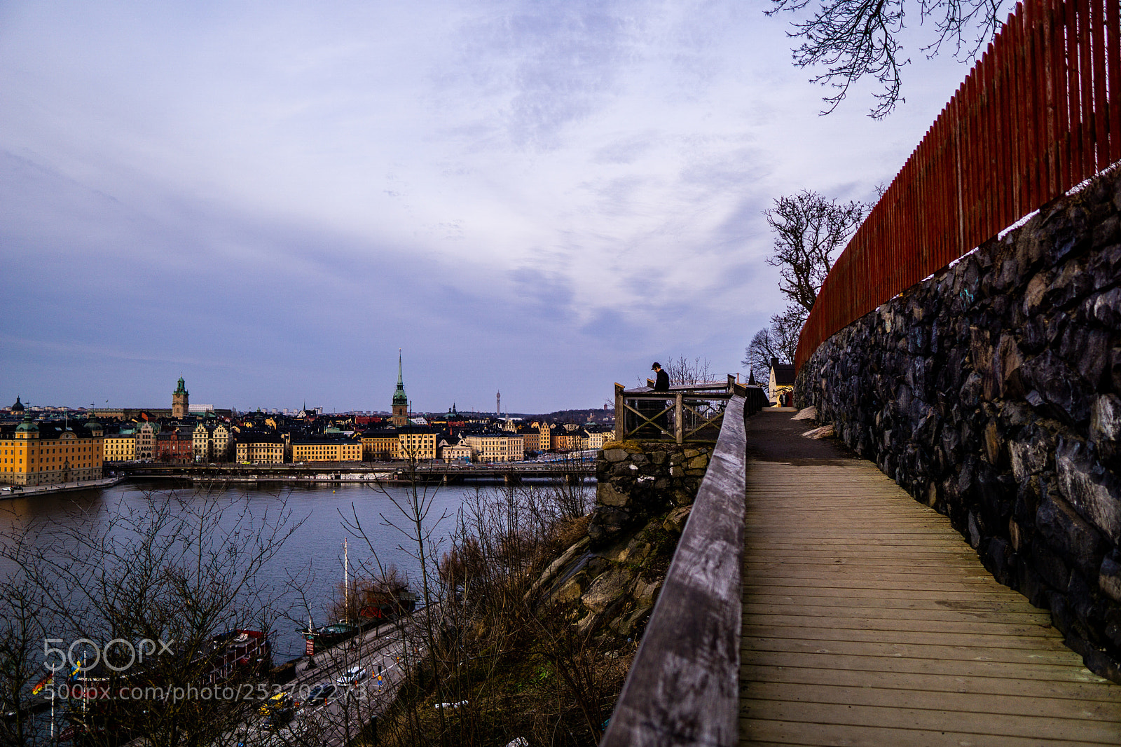 Sony a5100 sample photo. Walk with a view photography