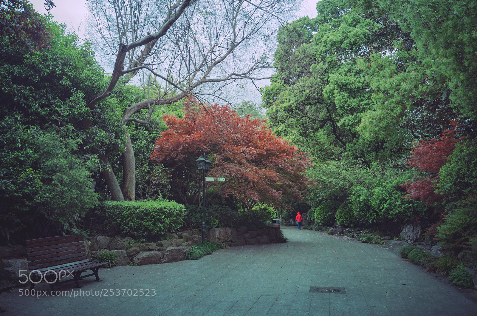 Panasonic Lumix DMC-GX8 sample photo. April park photography