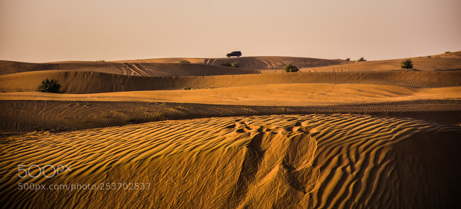 Nikon D7200 sample photo. Desert... photography