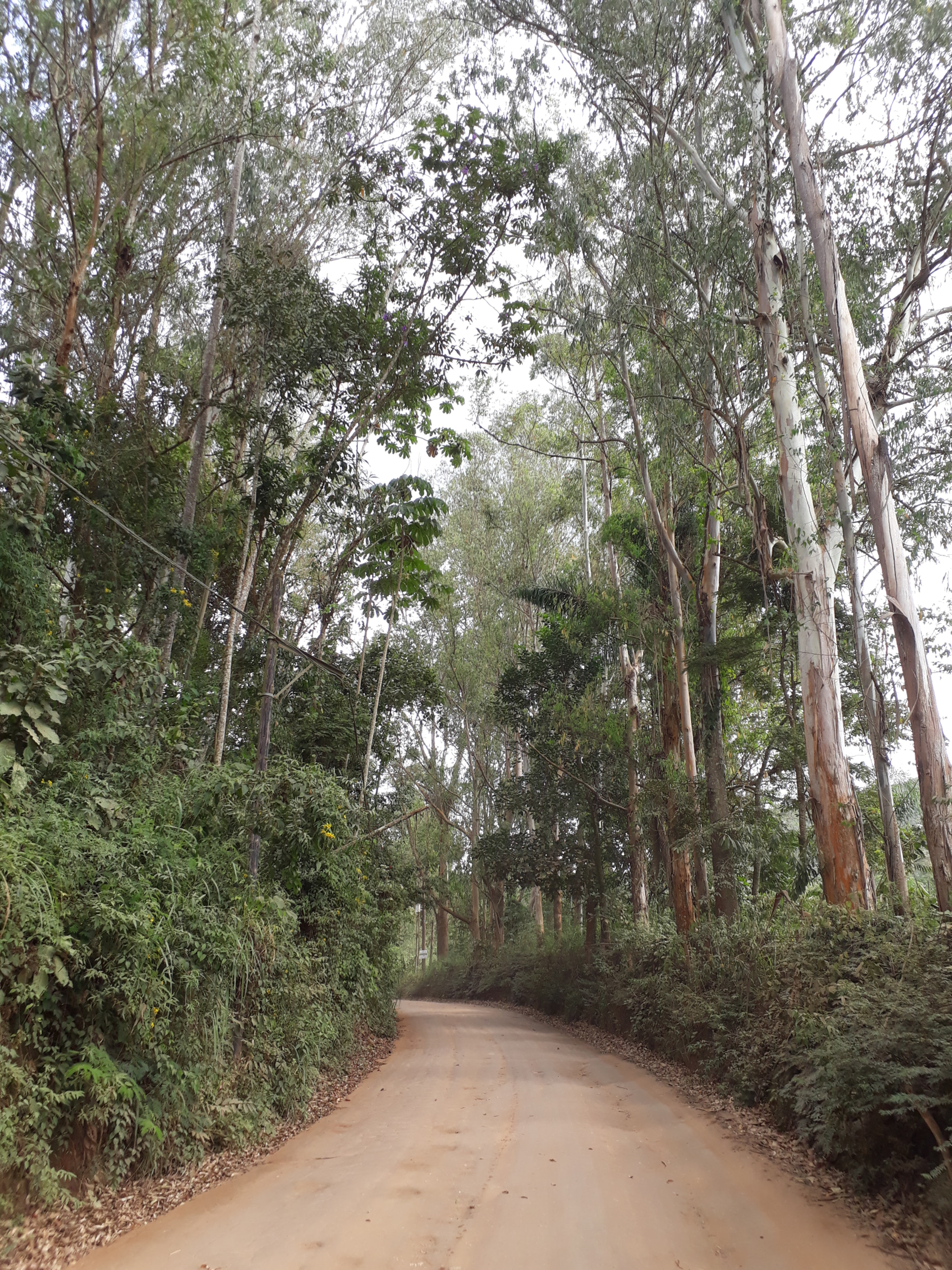 Samsung Galaxy J7 Prime sample photo