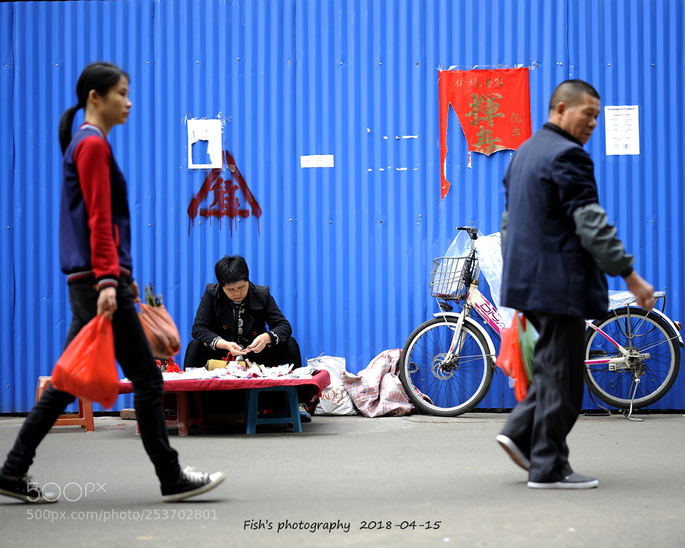 Nikon D700 sample photo. 顺德龙江 photography