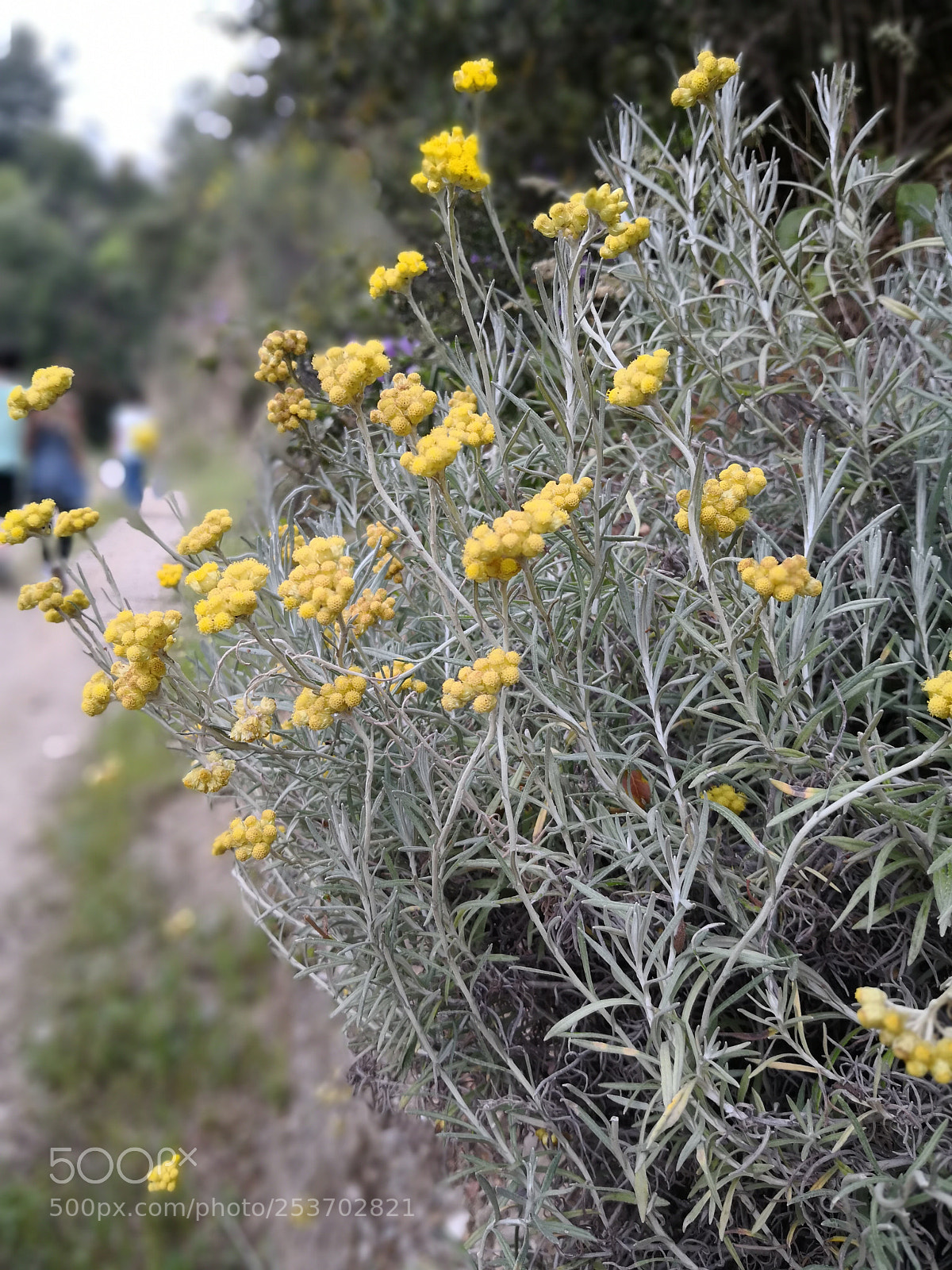 HUAWEI Mate 10 Pro sample photo. Untitled photography