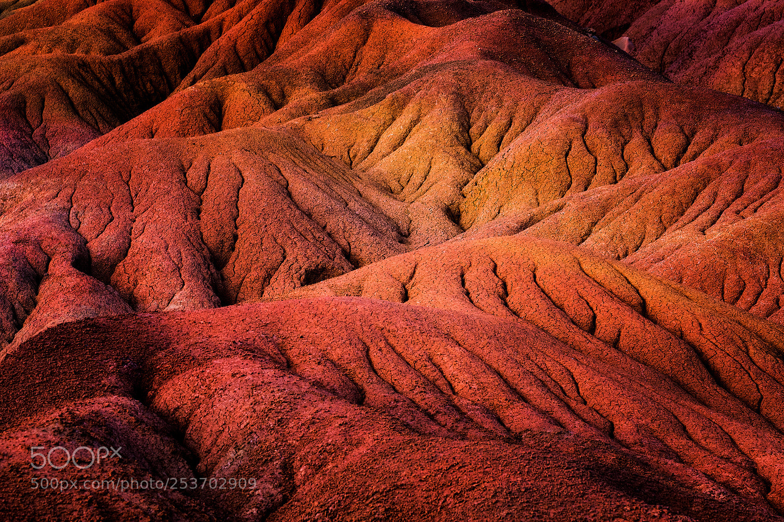 Canon EOS 5D Mark IV sample photo. Red hills photography