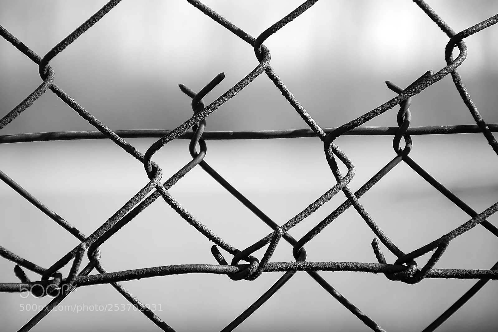 Nikon D5300 sample photo. Rusty wire fence in photography