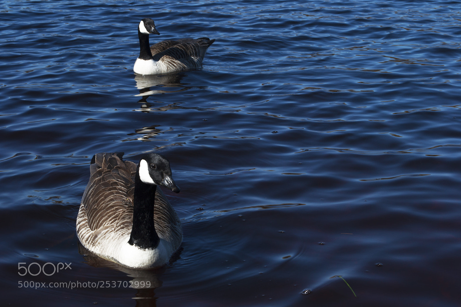Nikon D3100 sample photo. Chilling with my friends. photography