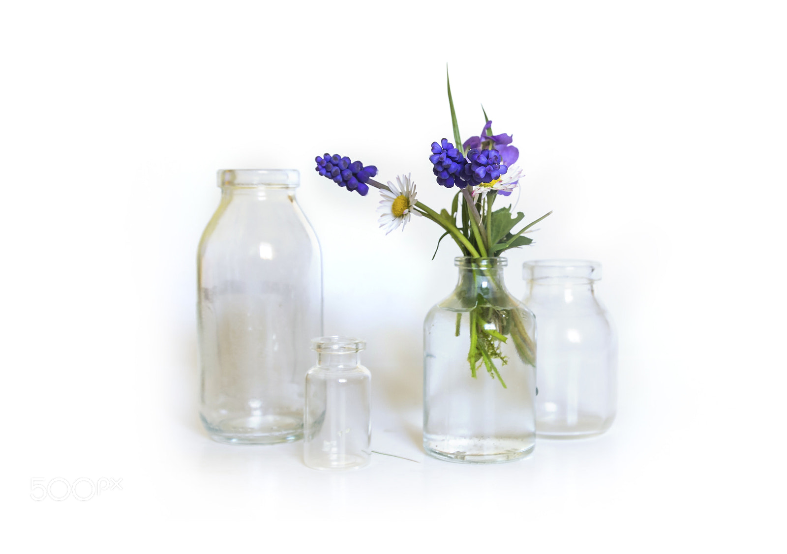 Canon EOS 60D sample photo. Little spring - arrangement photography