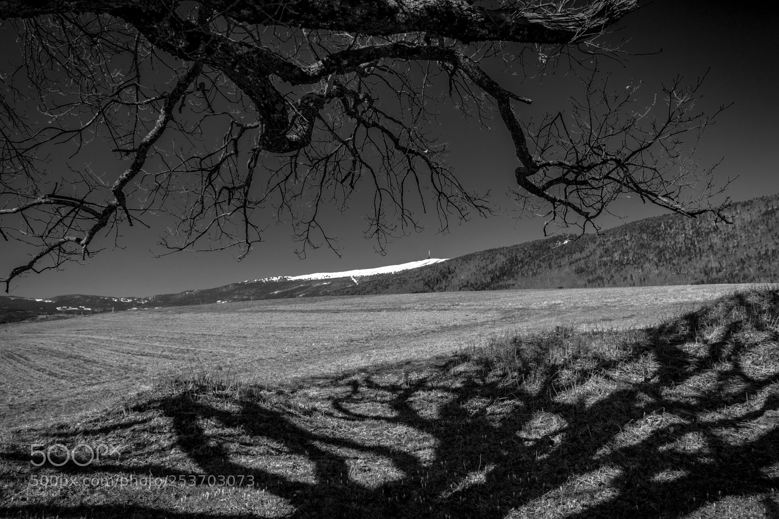 Canon EOS 70D sample photo. Under the tree photography