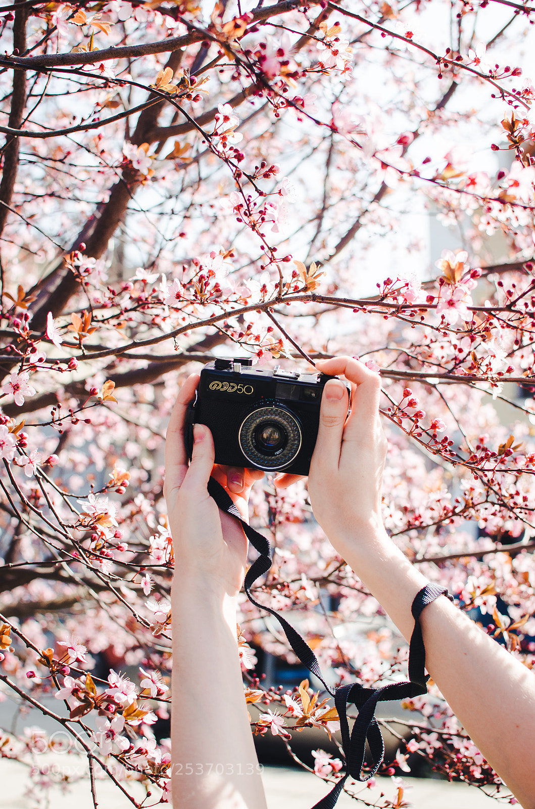 Nikon D5100 sample photo. Spring photography
