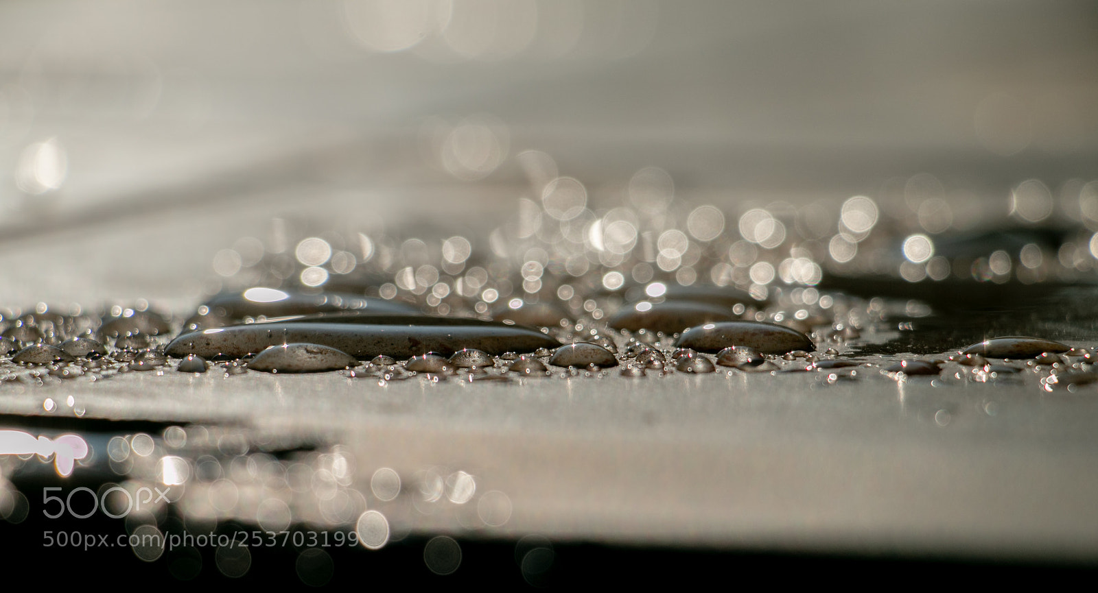 Canon EOS 70D sample photo. Water drops () photography