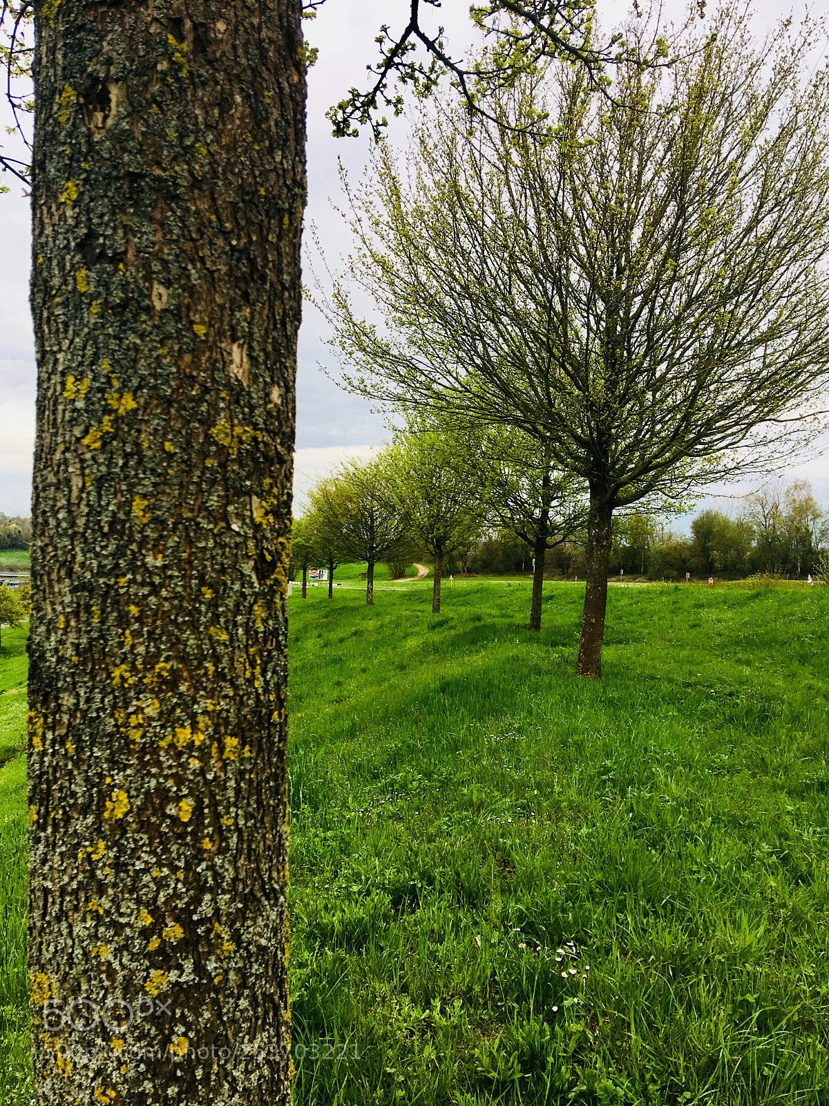 Apple iPhone 6s Plus sample photo. Untitled photography