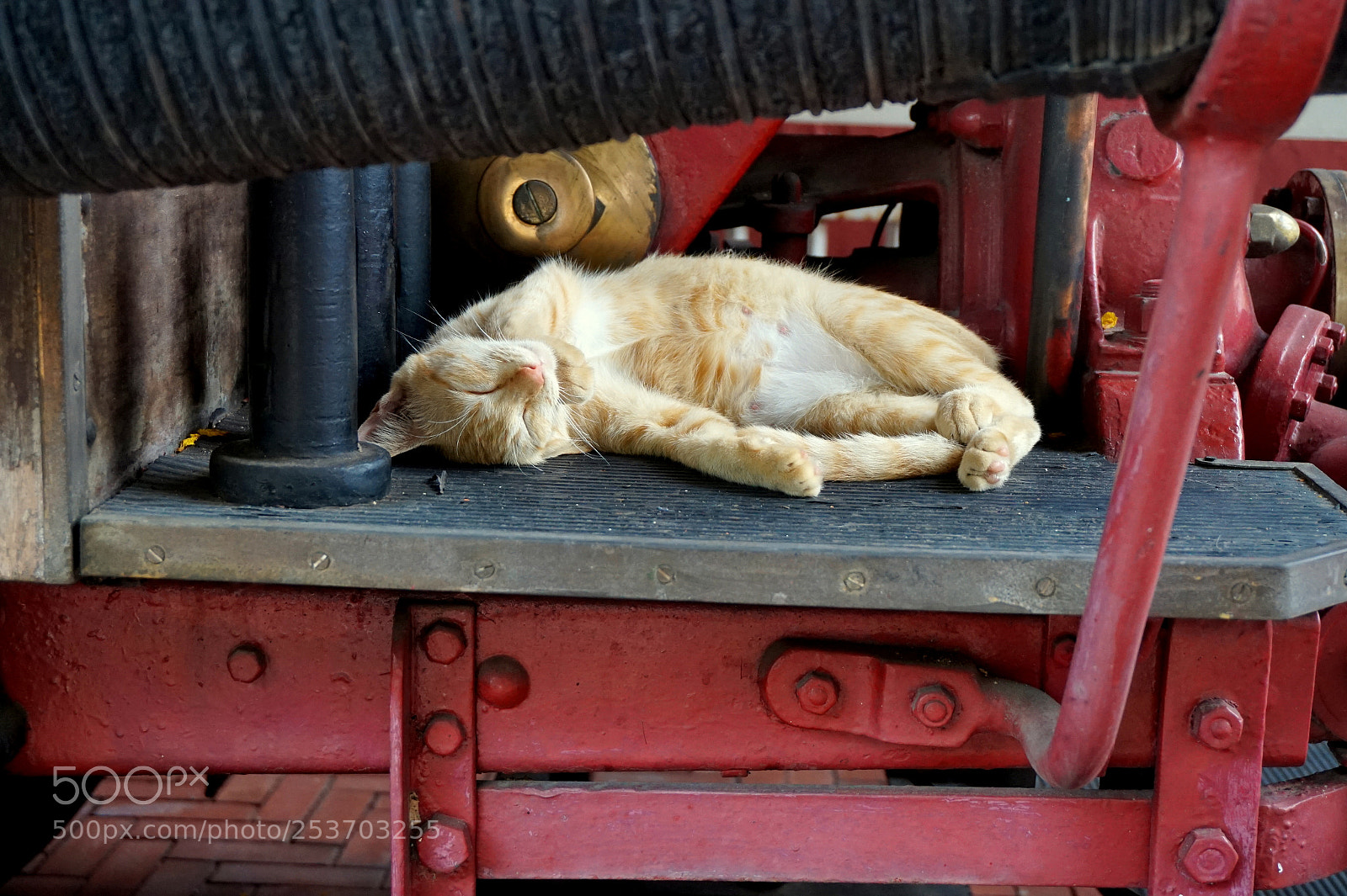 Sony Alpha a5000 (ILCE 5000) sample photo. Well sleep in danger photography