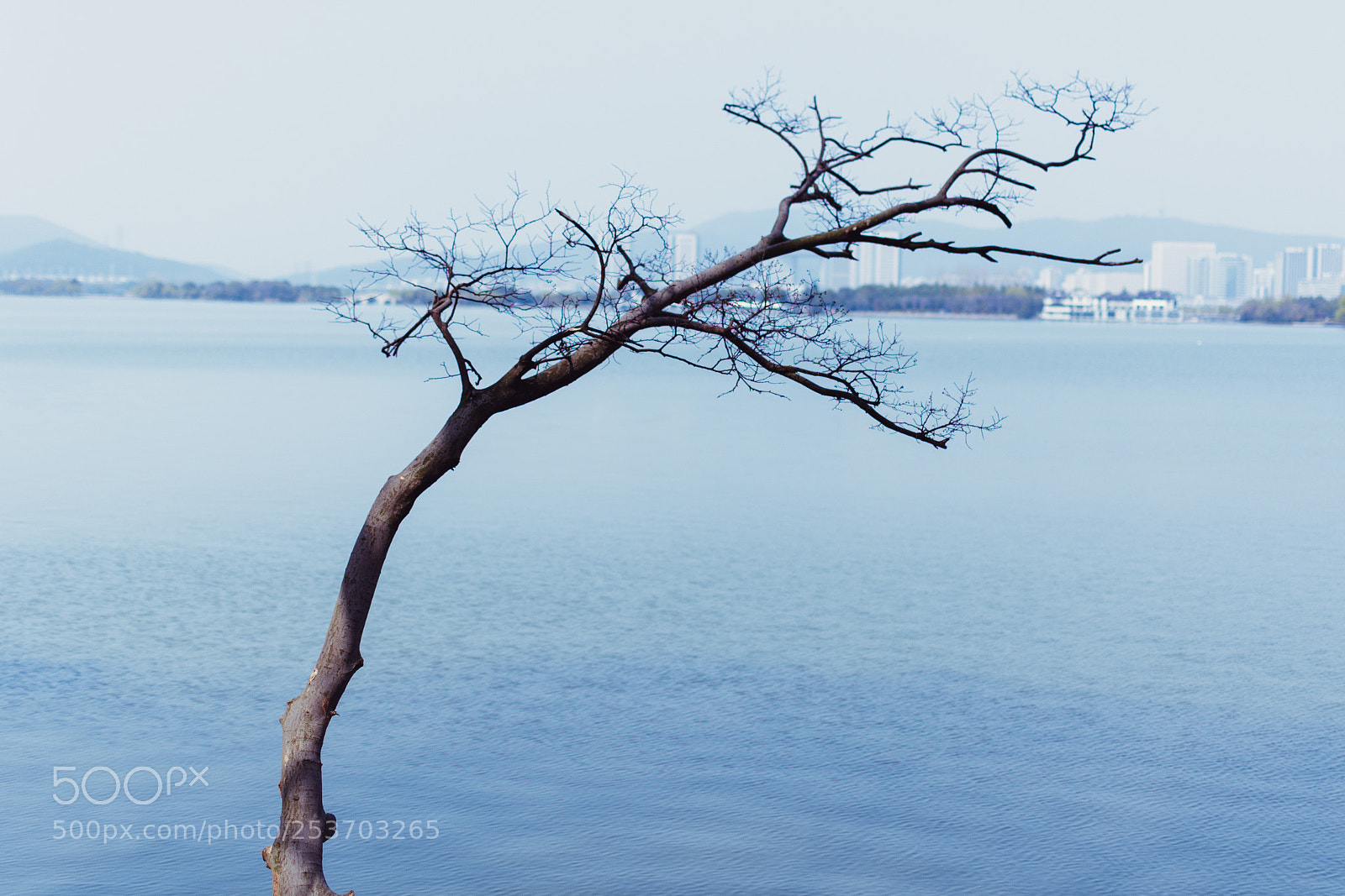 Nikon D7100 sample photo. Untitled photography