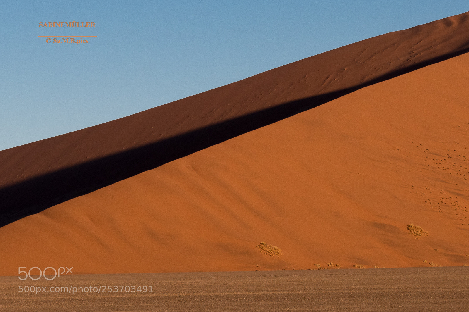 Nikon D850 sample photo. Desert - light and photography