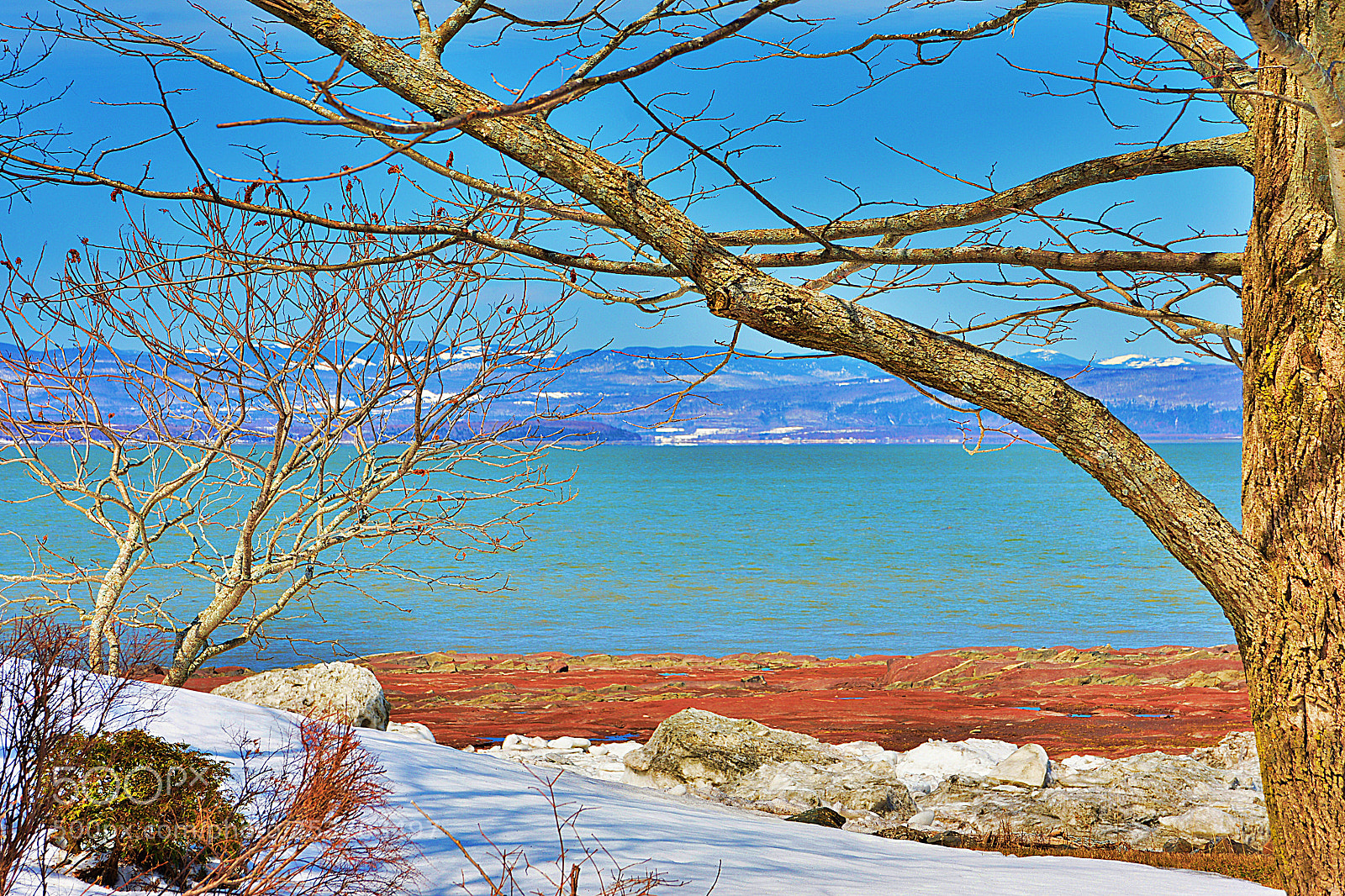 Nikon D7100 sample photo. Couleurs printannières photography
