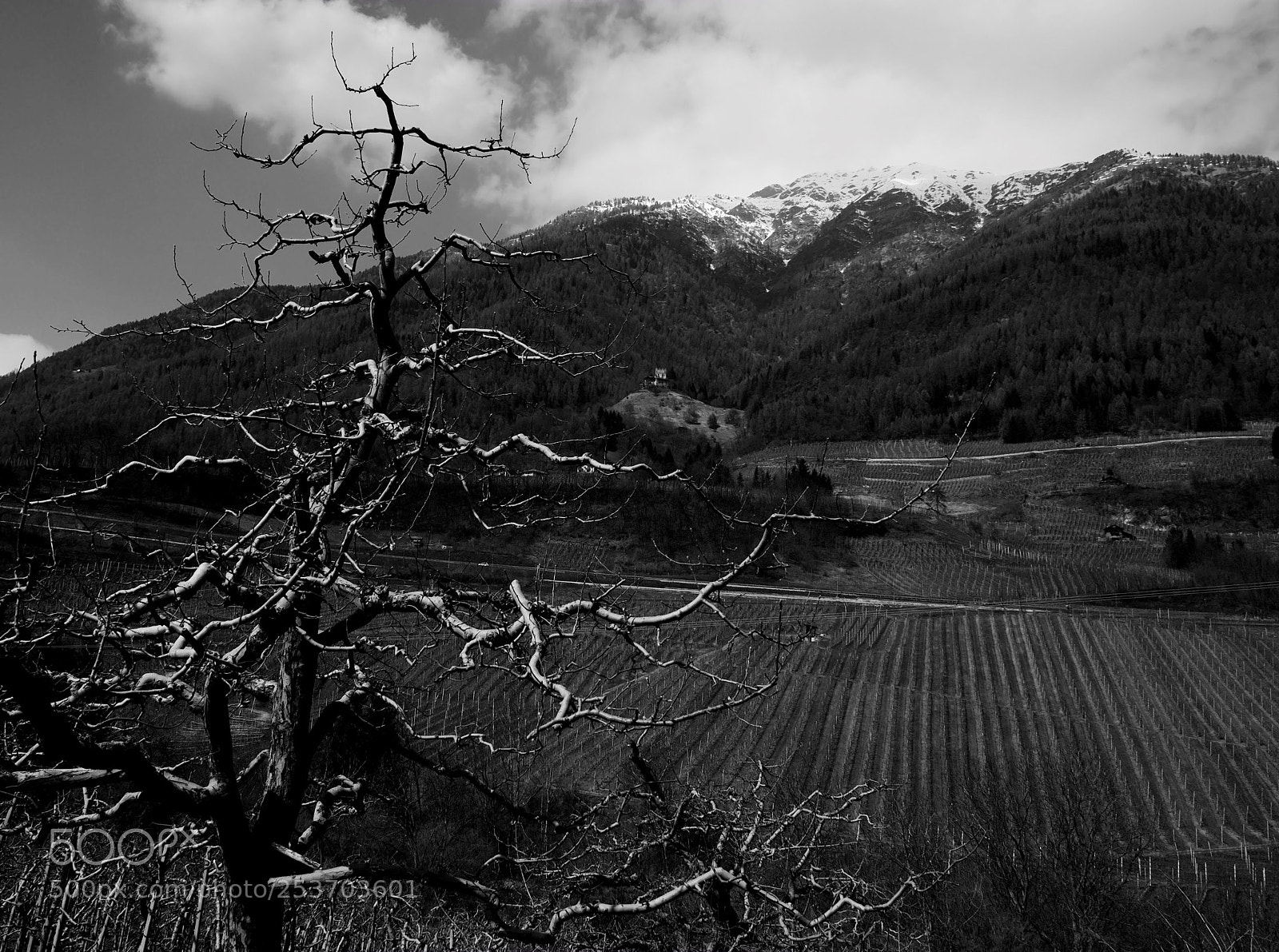 Fujifilm X-E1 sample photo. Untitled photography