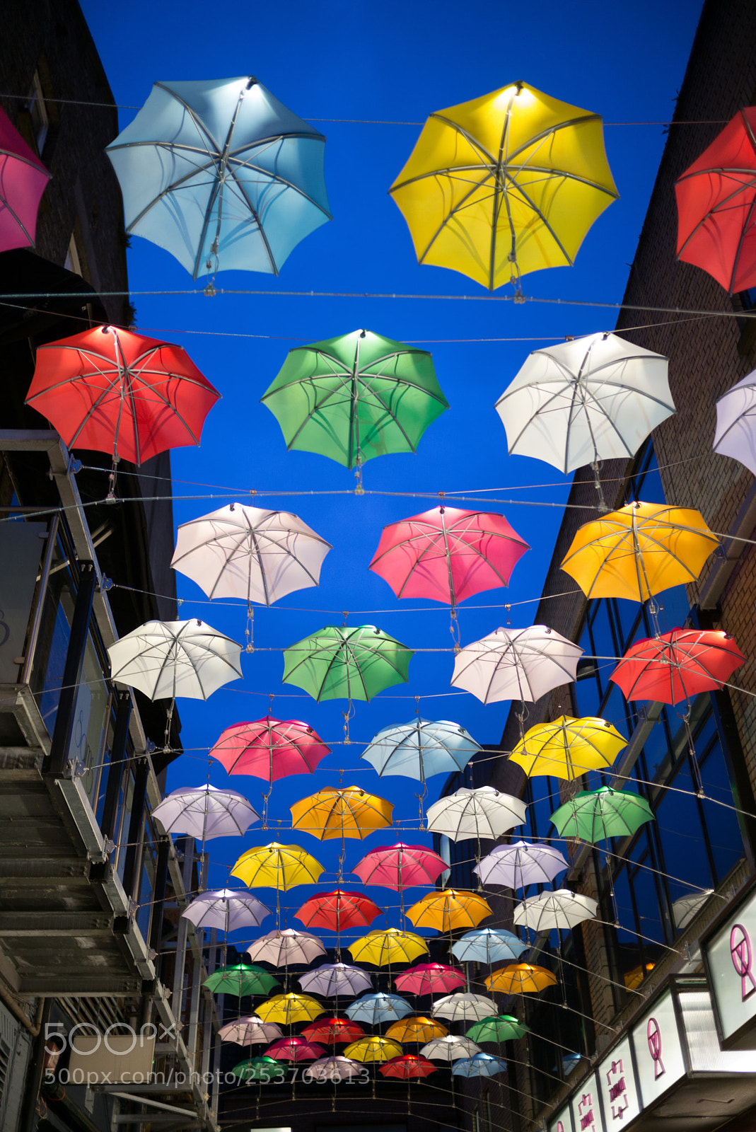 Leica M (Typ 240) sample photo. Dublin umbrellas photography