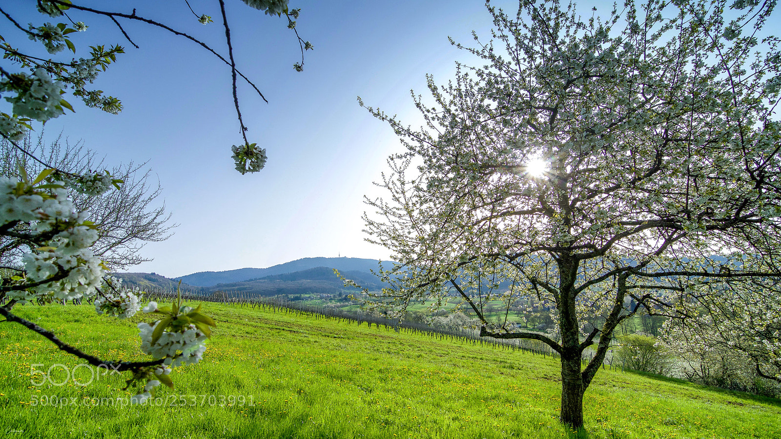 Nikon D7100 sample photo. Eggenertal am morgen photography