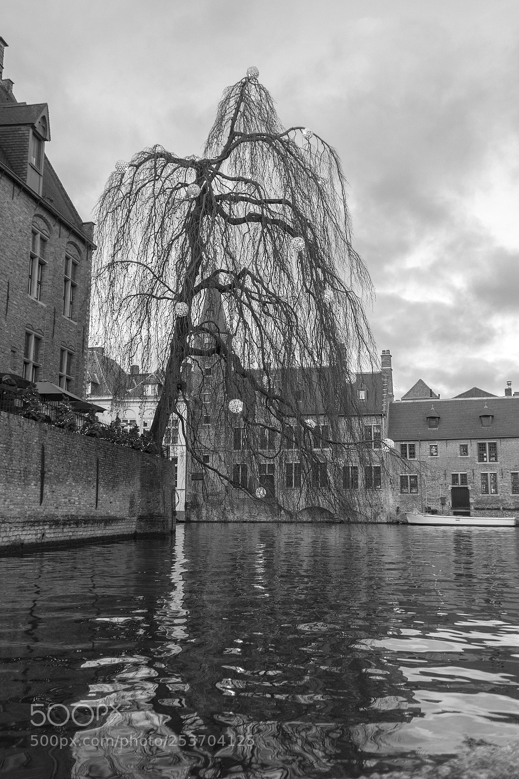 Nikon D7200 sample photo. Brujas photography