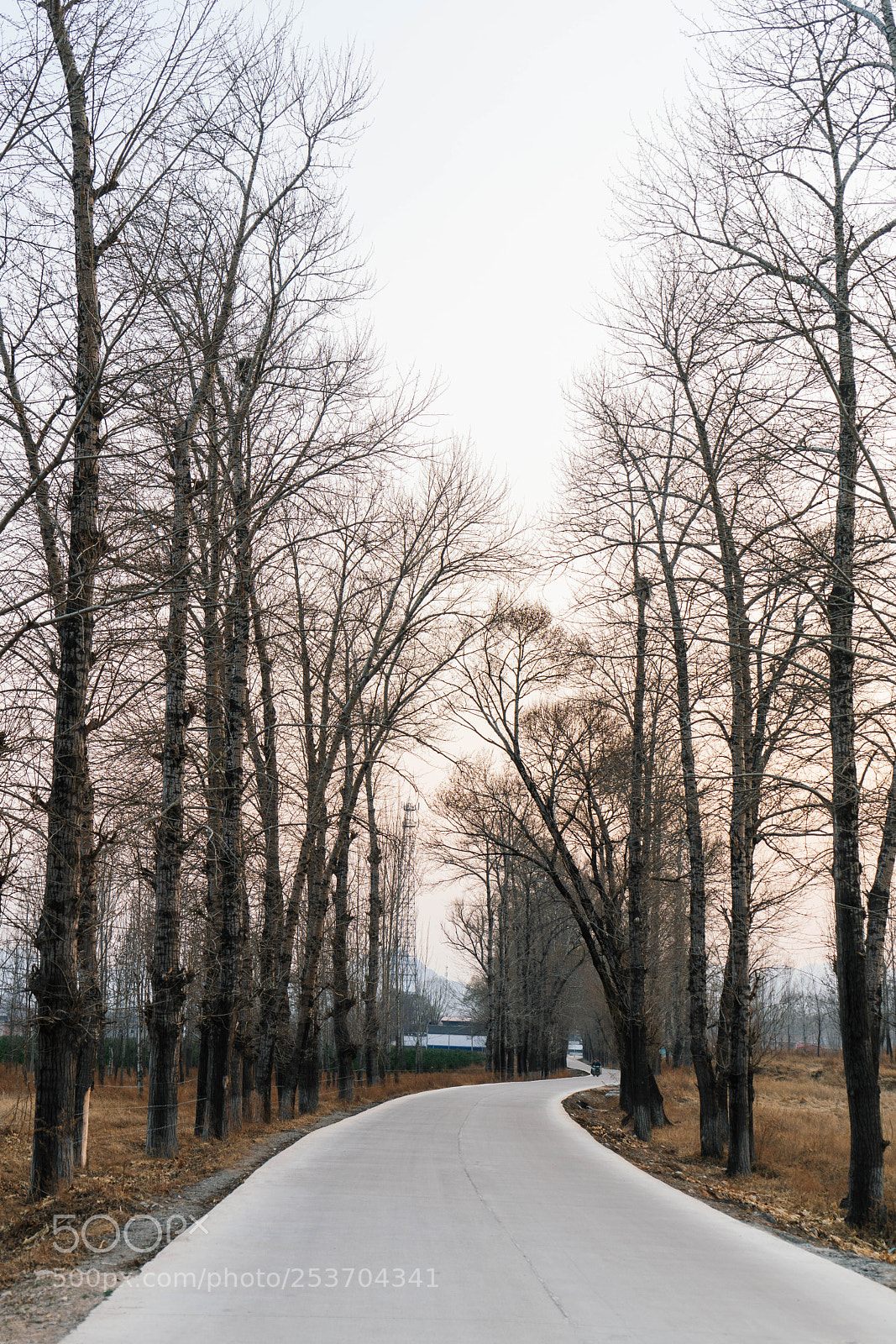 Sony a7R II sample photo. Country photography