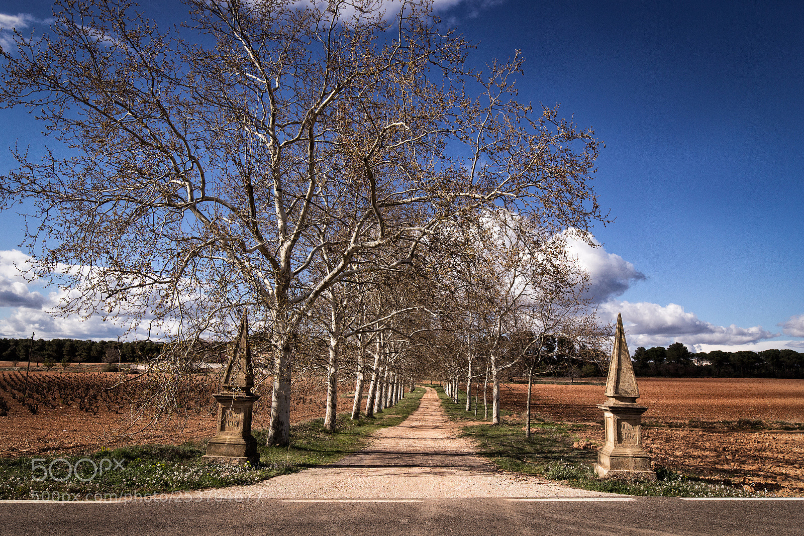 Canon EOS 60D sample photo. Villa isidra photography