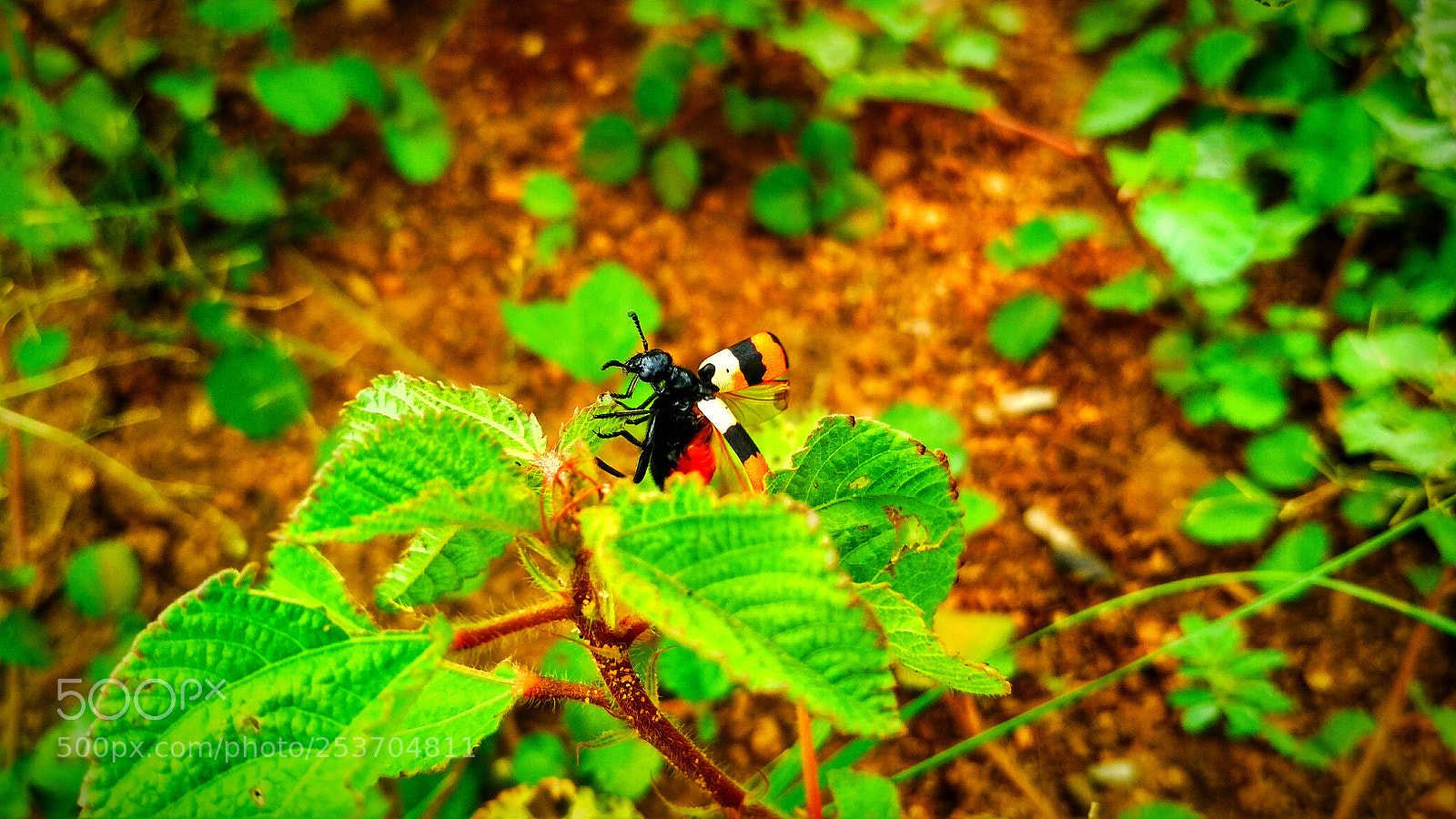 Xiaomi Redmi 4 Pro sample photo. Ready to take off photography
