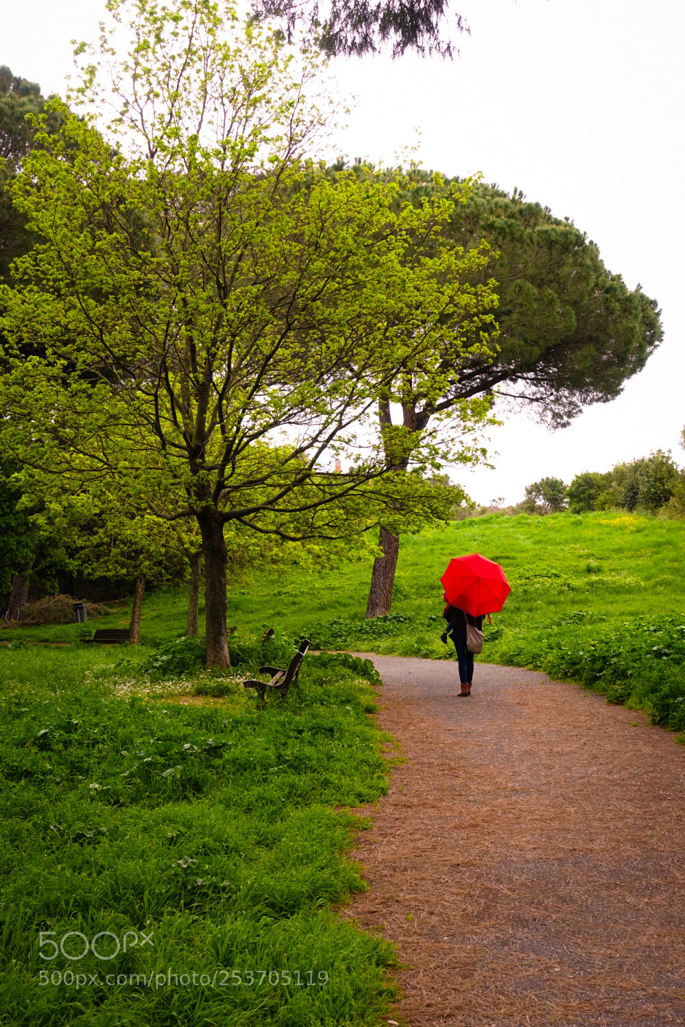 Sony Cyber-shot DSC-RX100 IV sample photo. Red photography