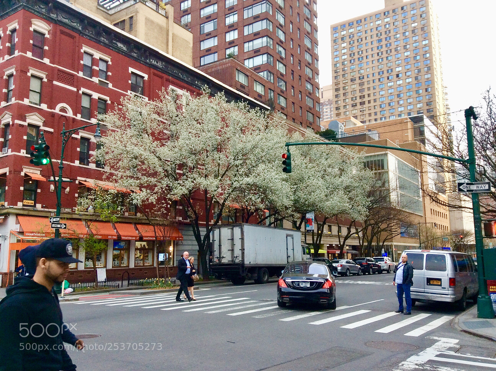 Apple iPad mini 2 sample photo. Spring in n y photography