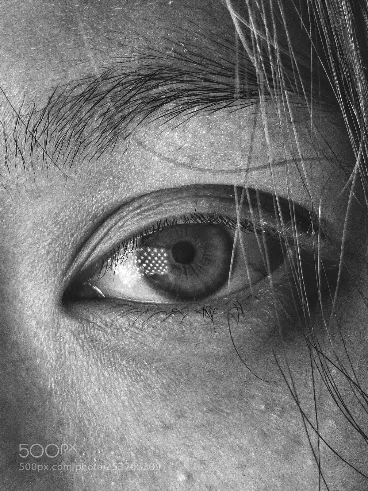 Apple iPhone 7 Plus sample photo. Iphoneography photography