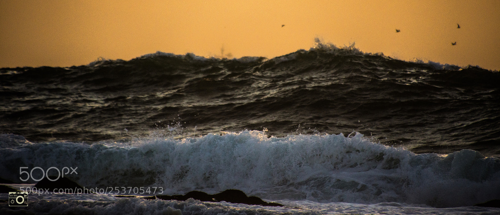 Nikon D7200 sample photo. A hint of light photography