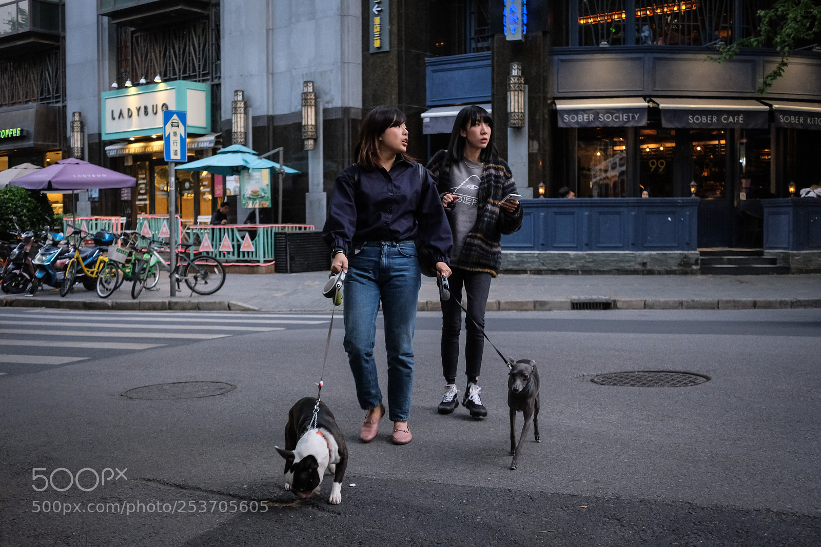 Fujifilm X-E3 sample photo. Dog walker photography