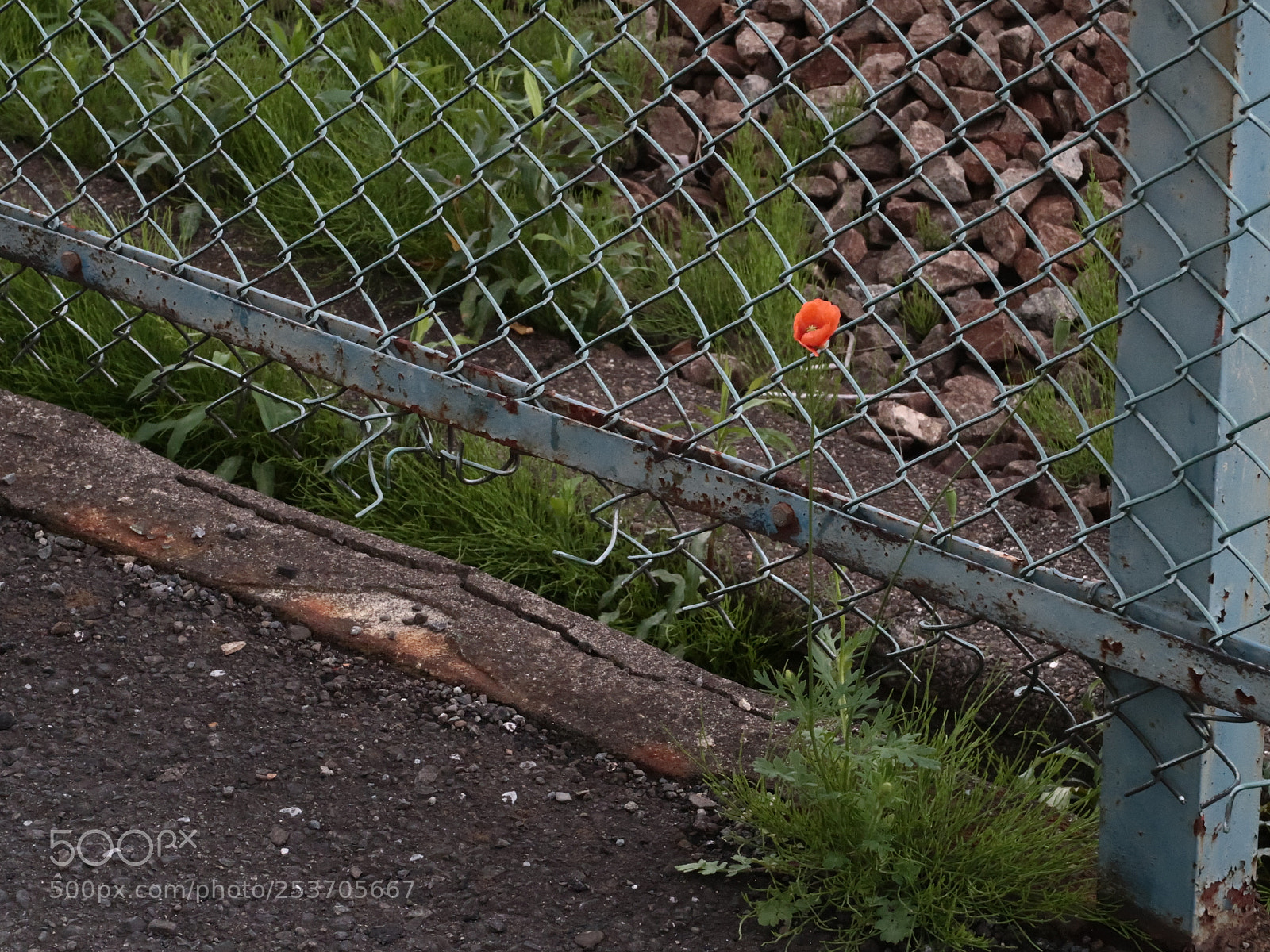 Canon PowerShot G7 X Mark II sample photo. Img photography