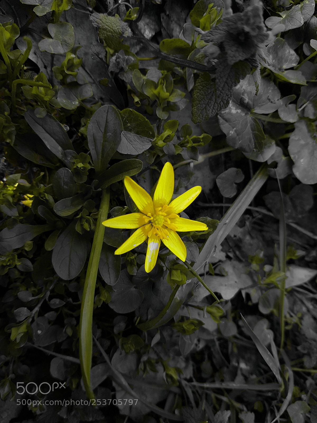 Samsung Galaxy S8 sample photo. Untitled photography