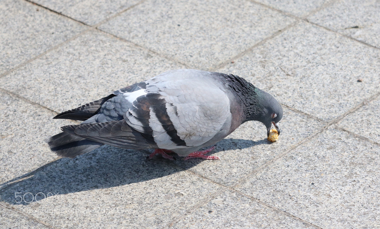 Canon EOS 750D (EOS Rebel T6i / EOS Kiss X8i) sample photo. Untitled photography