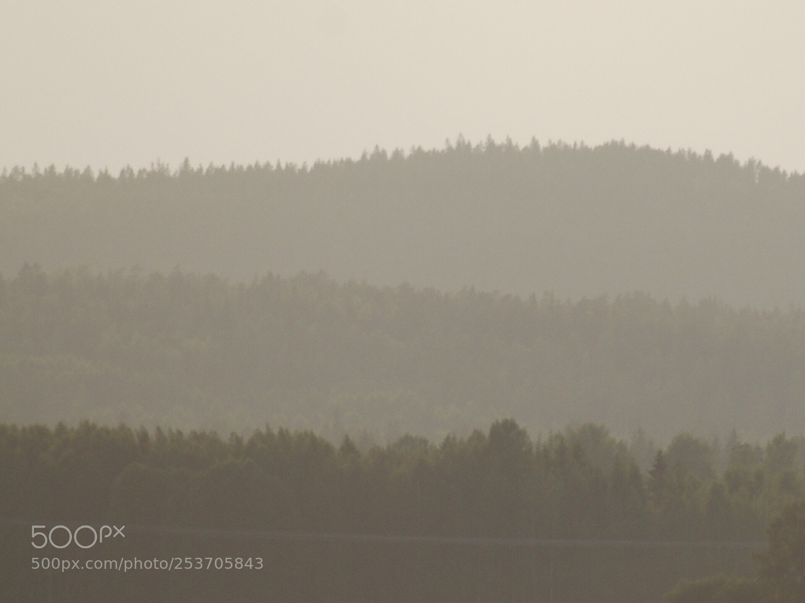 Nikon D80 sample photo. Different shades photography