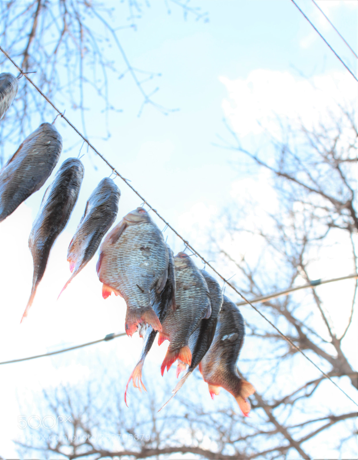 Canon EOS 650D (EOS Rebel T4i / EOS Kiss X6i) sample photo. Img photography