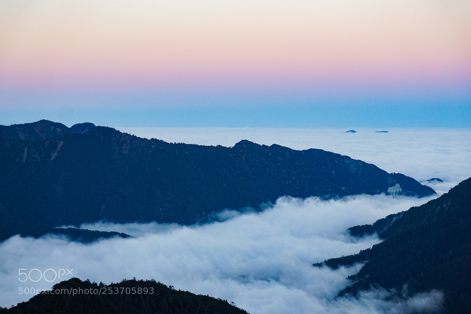 Sony ILCA-77M2 sample photo. 雲海 photography