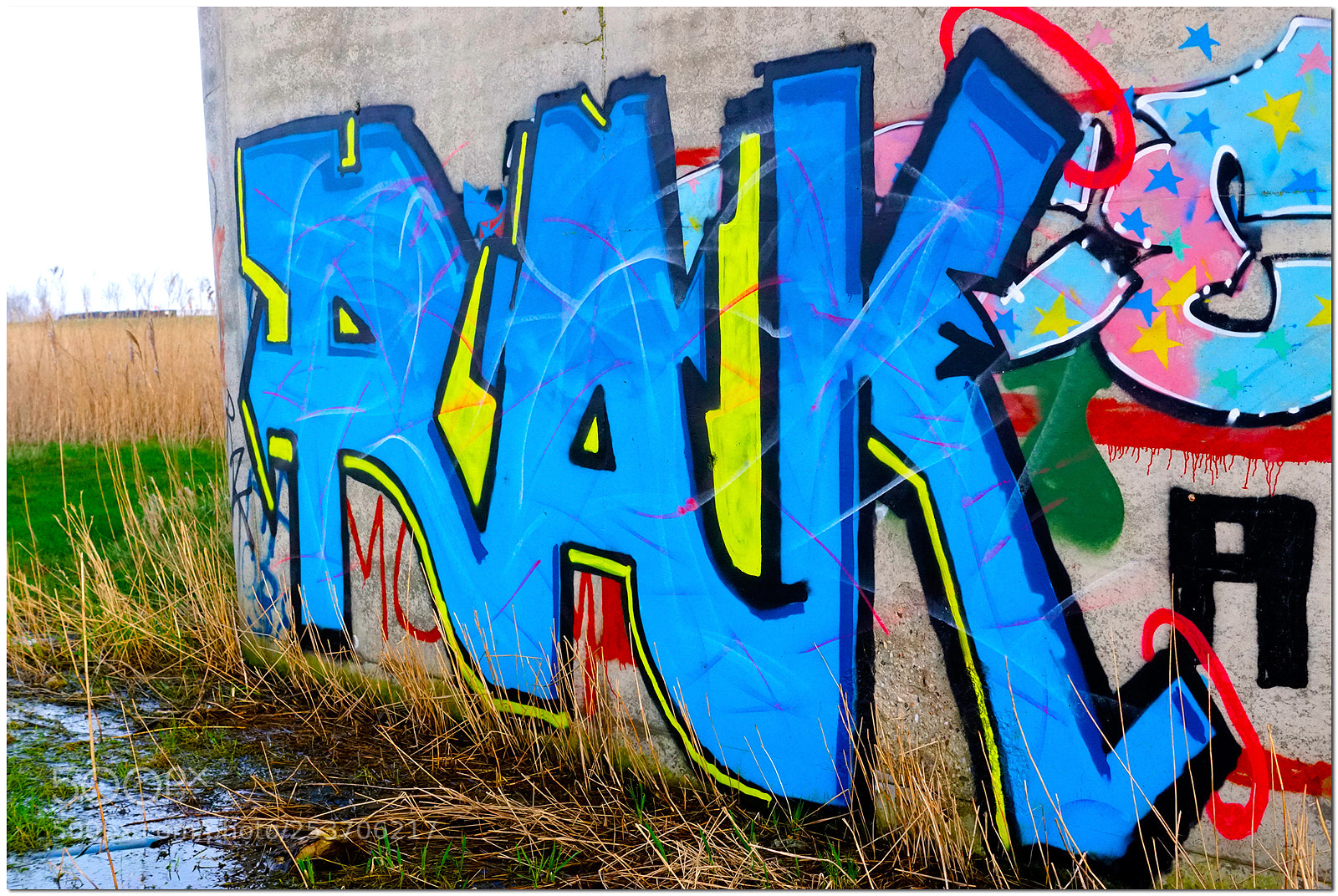 Sony SLT-A68 sample photo. Grafity photography