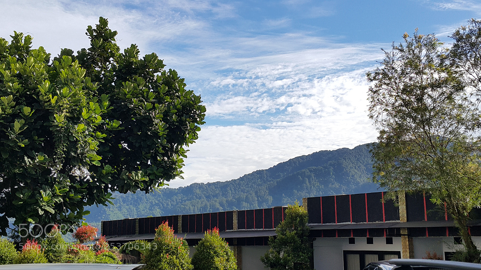 Samsung Galaxy Note4 sample photo. Lovely morning photography