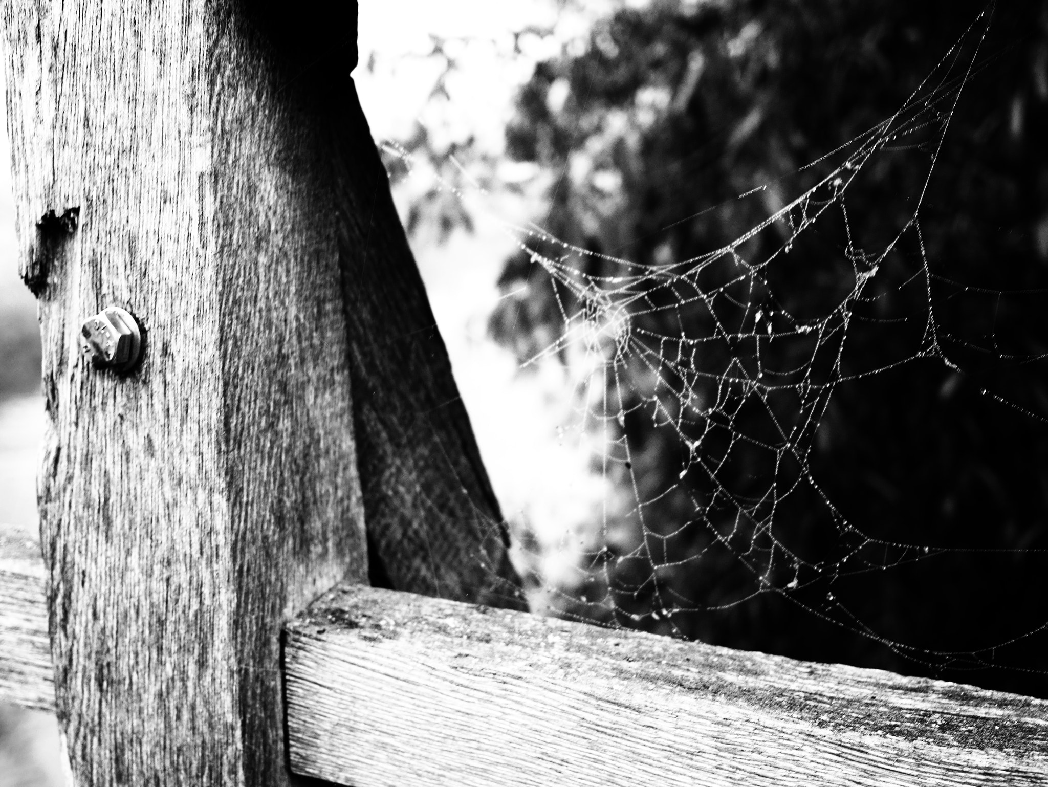 Panasonic Lumix DMC-GF7 sample photo. Bridge photography
