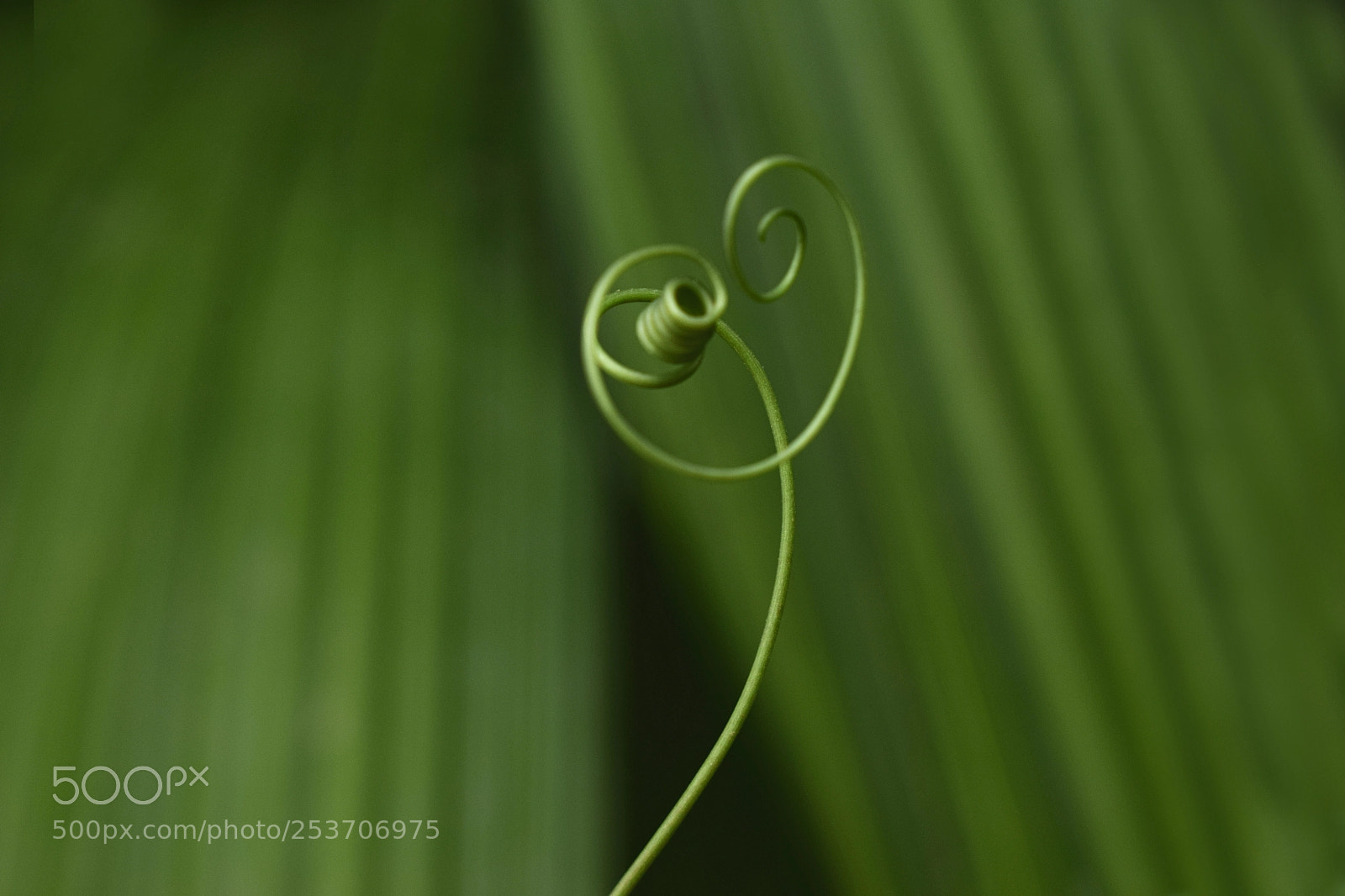 Nikon D3300 sample photo. Naturaleza photography