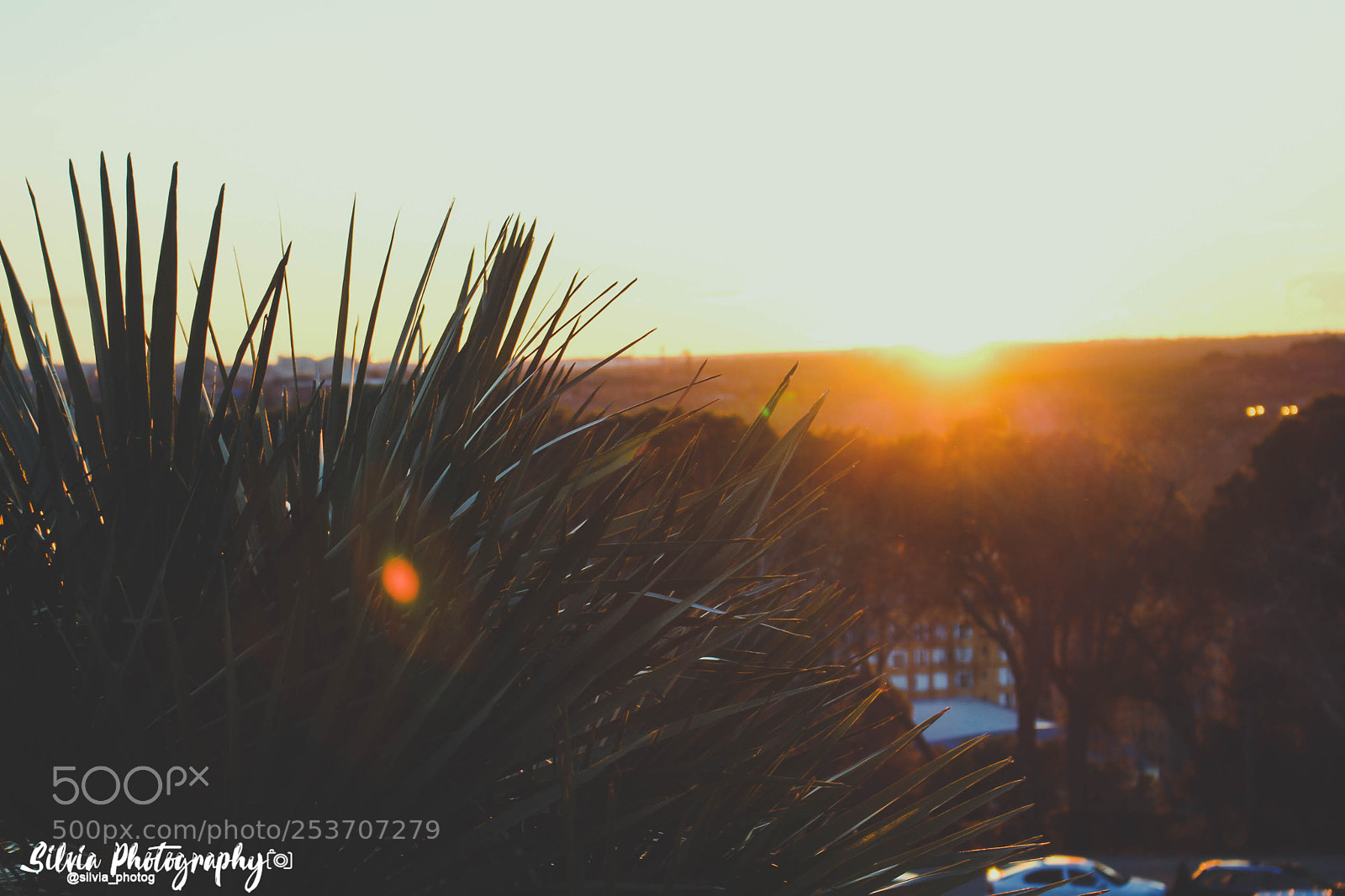 Canon EOS 700D (EOS Rebel T5i / EOS Kiss X7i) sample photo. Sunset photography