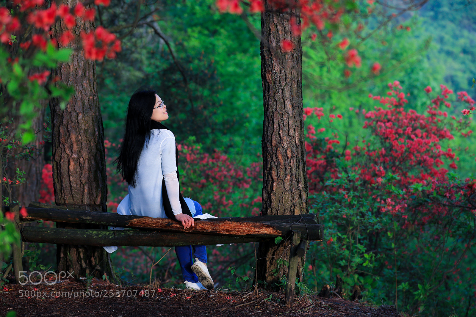 Canon EOS 5D Mark IV sample photo. Untitled photography