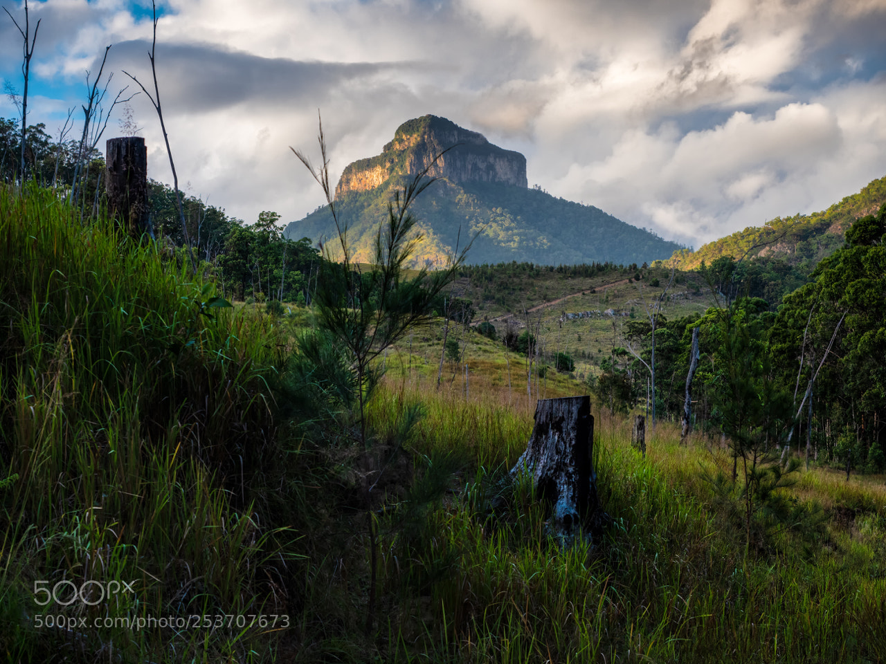 Olympus OM-D E-M1 Mark II sample photo. Mt lindsay photography